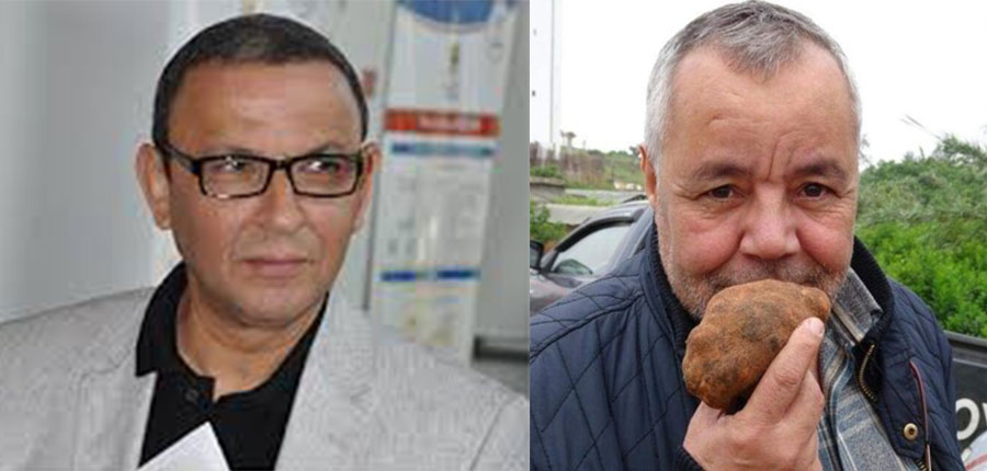 Les Truffes et Terfess :  multiples vertus pour la Santé