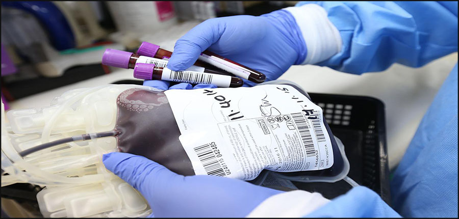 La thalassémie au Maroc, entre un traitement curatif à 100.000 dirhams et un coût préventif à 500 dirhams