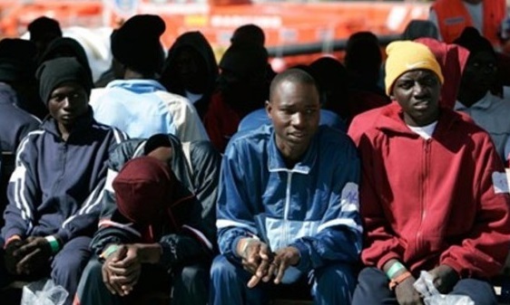 migrant ramed
