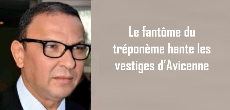 Le fantôme du tréponème hante les vestiges d’Avicenne